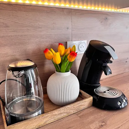 Maison Design Villa *