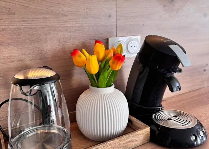 Maison Design Villa *